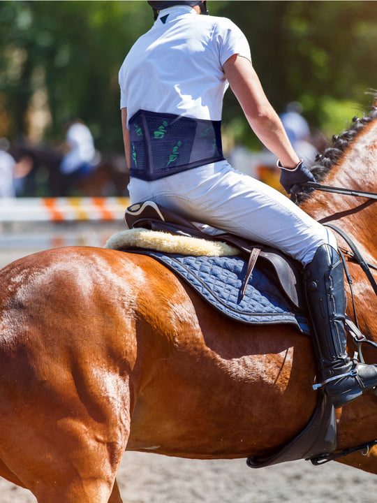 EquiBelt Horse Rider Back Strengthener by 4DflexiSPORT